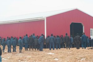 250 amish férfi puszta kézzel felemel egy pajtát, és puszta kézzel mozgatja azt arrébb