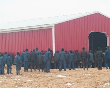 250 amish férfi puszta kézzel felemel egy pajtát, és puszta kézzel mozgatja azt arrébb