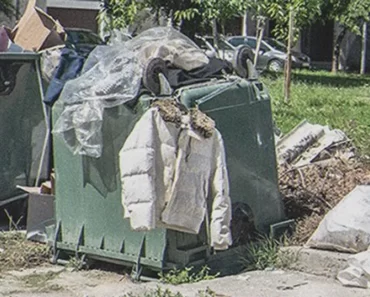 Az árva ikrek a szemetesből esznek, és találnak benne egy régi kabátot, egy üveg parfümmel a zsebében