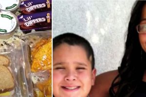 A fiú megkéri anyukáját, hogy készítsen két uzsonnás dobozt – hogy segítsen megetetni egy éhező osztálytársát, akinek nincs rá pénze