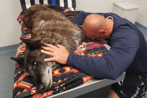 „Bármit megtett volna érted”: A rendőr összeomlik, miután elveszíti a K9-es társát és egyben legjobb barátját