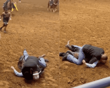 Az apa a bika elé dobja a testét, hogy megvédje a fiát a texasi rodeón