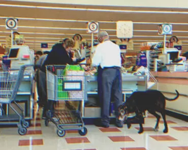 A 81 éves férfi nem tud ételt venni öreg kutyájának, “majd én kifizetem”, mondja egy ifjú hang