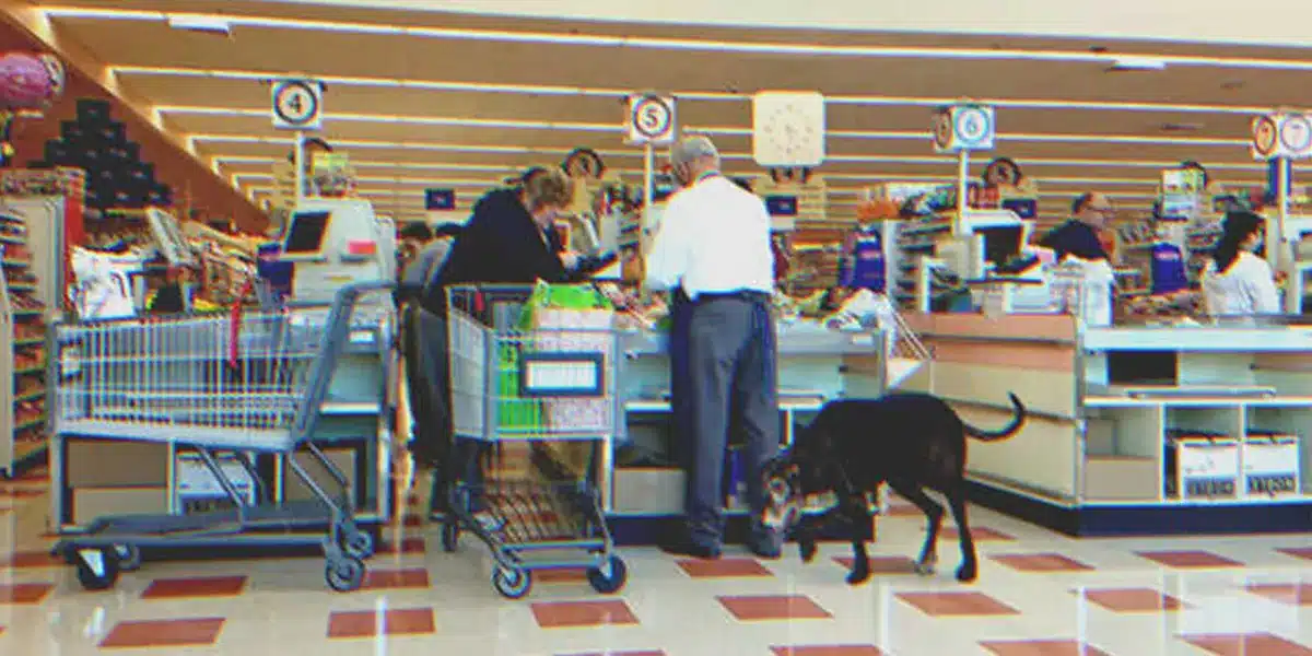 A 81 éves férfi nem tud ételt venni öreg kutyájának, „majd én kifizetem”, mondja egy ifjú hang