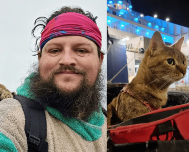 Ez a férfi 29 országot járt be a macskájával, és egy országra van a világrekord felállításától