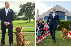 A sebesült veteránnak a szolgálati kutyája lesz a tanúja az esküvőjén