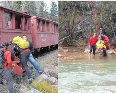 Egy sasszemű vonatutas észrevette a sérült túrázót az erdőben. Megmentette az életét.