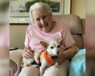 Tökéletes párosítás: a 100 éves nő örökbefogadta a 11 éves idős kutyát.