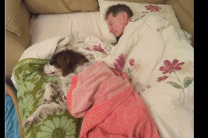 Több agyvérzés után a kutya nem tud bemenni a hálószobába – így a családja minden este mellette alszik a kanapén