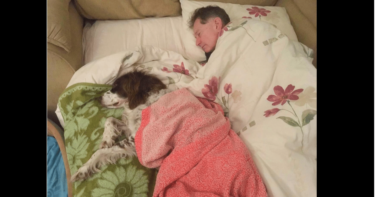 Több agyvérzés után a kutya nem tud bemenni a hálószobába – így a családja minden este mellette alszik a kanapén