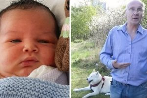 A hős husky az egyetlen, aki észreveszi a parkban magára hagyott újszülött csecsemőt, és megmenti az életét