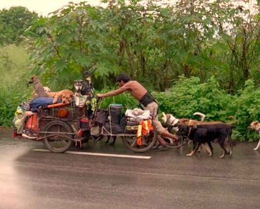 A férfi egy kiskocsival járja körbe Mexikót, hogy megmentse a beteg és sérült kutyákat