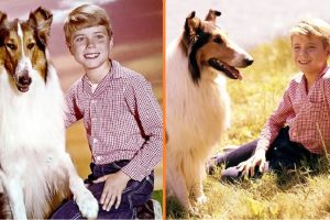 Timmy a „Lassie-ből” 72 évesen is ugyanolyan „szelíden” mosolyog – Megmutatta feleségét és unokáit, miután megmenekült a gyereksztár átoktól