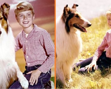 Timmy a „Lassie-ből” 72 évesen is ugyanolyan „szelíden” mosolyog – Megmutatta feleségét és unokáit, miután megmenekült a gyereksztár átoktól Timmy a „Lassie-ből” 72 évesen is ugyanolyan „szelíden” mosolyog – Megmutatta feleségét és unokáit, miután megmenekült a gyereksztár átoktól