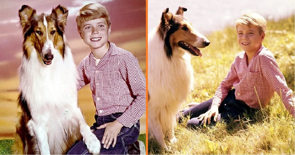 Timmy a „Lassie-ből” 72 évesen is ugyanolyan „szelíden” mosolyog – Megmutatta feleségét és unokáit, miután megmenekült a gyereksztár átoktól