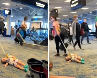 Az anyát szidalmazzák, amiért pórázon húzta át a gyermekét a reptéren: „Szörnyű szülő