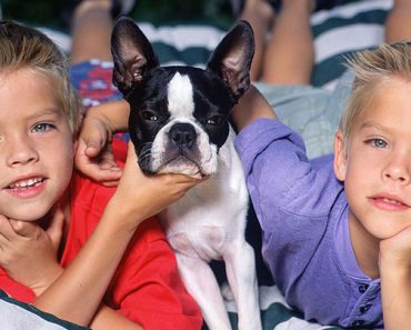 A Sprouse ikrek ma: Így élik az életüket most, 30 évesen