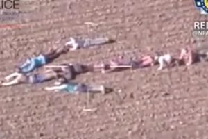 A gyerekek mozdulatlanul fekszenek a földön – amikor a rendőrségi helikopter rájön, hogy miért, azonnal akcióba lendül