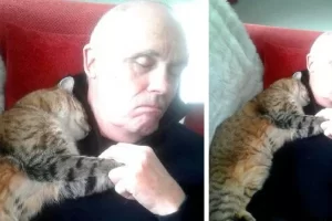 Ez a férfi egy műtét után otthon szunyókál: amikor felébred, egy macskát talál, aki hozzábújik.