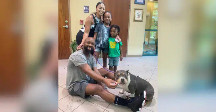 A család szeretett kutyája végre hazatér — 3 évvel azután, hogy elszökött!