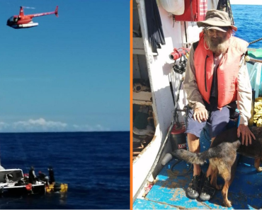Valóságos hajótöröttet és kutyáját mentették meg hónapok után a tengeren – elképesztő az átalakulása