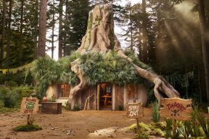 Nyerj két éjszakát Shrek mocsarában ezzel a szokatlan Airbnb-vel