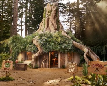 Nyerj két éjszakát Shrek mocsarában ezzel a szokatlan Airbnb-vel