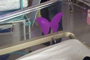 Ha egy lila pillangómatricát látsz egy újszülött mellett, tudnod kell, mit jelent.