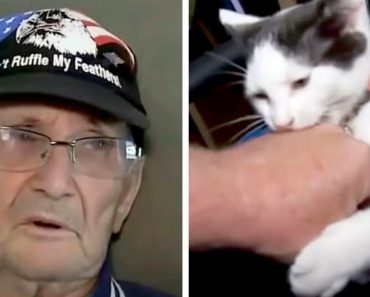 Az idős férfi elesik a zuhany alatt és 16 órán át fekszik a földön: a macska menti meg azzal, hogy odaviszi neki a mobiltelefonját